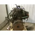 Paccar PX8 Engine Assembly thumbnail 4