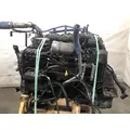 Paccar PX8 Engine Assembly thumbnail 3