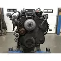 Paccar PX8 Engine Assembly thumbnail 2