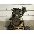 Paccar PX8 Engine Assembly thumbnail 4