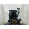 Paccar PX8 Engine Assembly thumbnail 4