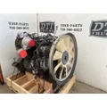  Oil Pump PACCAR PX-9 for sale thumbnail