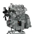 Perkins 3.152.4 Engine Assembly thumbnail 1