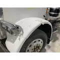 Peterbilt 357 Hood thumbnail 10