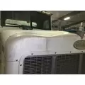 Peterbilt 378 Hood thumbnail 25