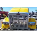  Hood Peterbilt 378 for sale thumbnail