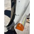 Peterbilt 378 Hood thumbnail 7