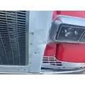 Peterbilt 379 Hood thumbnail 9