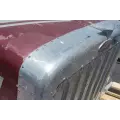 Peterbilt 379 Hood thumbnail 11