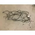 Peterbilt 387 Cab Wiring Harness thumbnail 2