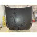 Peterbilt 387 Hood thumbnail 11