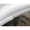 Peterbilt 389 Hood thumbnail 10