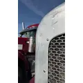 Peterbilt 389 Hood thumbnail 5