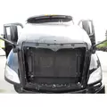 USED - B Hood PETERBILT 579 2012-2022 for sale thumbnail