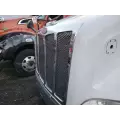 Peterbilt 579 Grille thumbnail 3