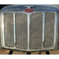 USED Grille PETERBILT 579 for sale thumbnail
