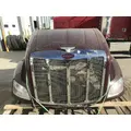 Peterbilt 579 Hood thumbnail 13