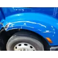 Peterbilt 579 Hood thumbnail 4