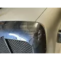 Peterbilt 587 Hood thumbnail 6
