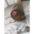 ROCKWELL MISC. Axle Shaft thumbnail 38