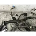 Renault OTHER Engine Wiring Harness thumbnail 2