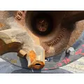 SPICER F59 Axle Housing thumbnail 12