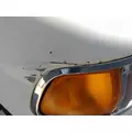 STERLING ACTERRA 5500 2001-2010 HOOD thumbnail 3