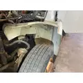 STERLING ACTERRA Fender thumbnail 3