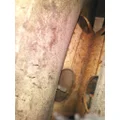 STUD/BUDD PILOTED - STEE 16 X 6.00 WHEEL thumbnail 1