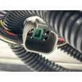 Spartan Gladiator Tail Lamp thumbnail 4