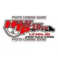 Spicer/Dana DSP40 Rears (Front) thumbnail 1