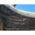 Spicer/Dana N400F Axle Housings (Front) thumbnail 5