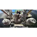 Spicer/Dana Other Cutoff thumbnail 1