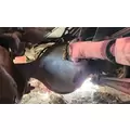 Spicer/Dana RA474 Axle Assembly Housing thumbnail 2