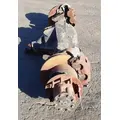 Spicer/Dana  Axle Assembly, Rear (Single or Rear) thumbnail 2