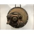 USED Differential Assembly (Rear, Rear) Spicer N175 for sale thumbnail