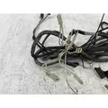 THERMO KING 1E92387G01 Wiring Harness thumbnail 4