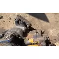 TRW/ROSS CASCADIA 125BBC Steering GearRack thumbnail 6