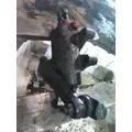 TRW/ROSS THP60-010 POWER STEERING GEAR thumbnail 5
