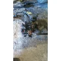 TRW/ROSS THP60-010 POWER STEERING GEAR thumbnail 5