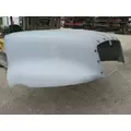 UNKNOWN T2000 1997-2010 HOOD thumbnail 2