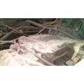 VOLVO ATO2512C TRANSMISSION ASSEMBLY thumbnail 2