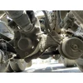VOLVO Corporate Air Tandem Cutoffs thumbnail 10