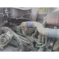 VOLVO D13F EPA 07 (MP8) ENGINE ASSEMBLY thumbnail 2