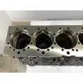 VOLVO D13M Cylinder Block thumbnail 8