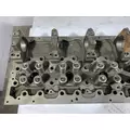 VOLVO D13M Engine Cylinder Head thumbnail 6