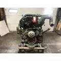 VOLVO D13 Engine Assembly thumbnail 1