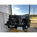 VOLVO D13 Engine Assembly thumbnail 14