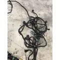 VOLVO D13 Engine Wiring Harness thumbnail 4