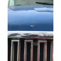VOLVO VNL 1998-2003 HOOD thumbnail 6